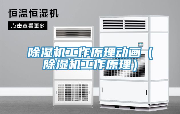 除濕機(jī)工作原理動(dòng)畫(huà)（除濕機(jī)工作原理）