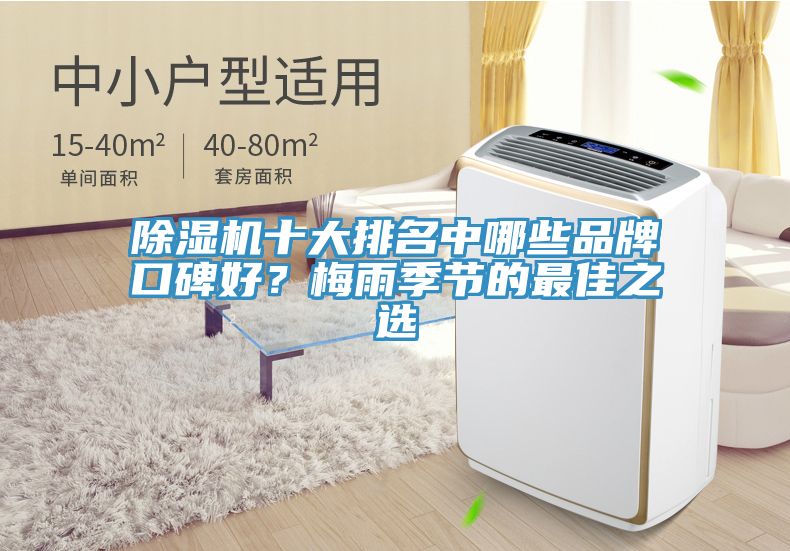 除濕機(jī)十大排名中哪些品牌口碑好？梅雨季節(jié)的最佳之選