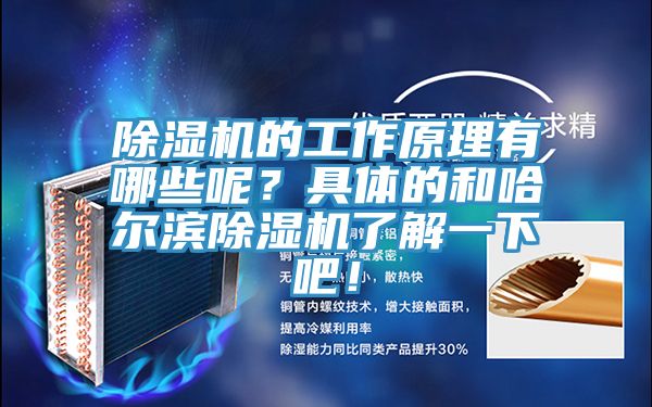 除濕機(jī)的工作原理有哪些呢？具體的和哈爾濱除濕機(jī)了解一下吧！