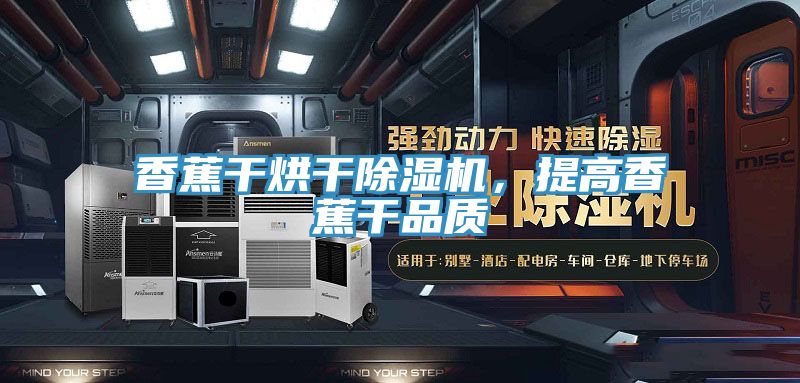 香蕉干烘干除濕機，提高香蕉干品質