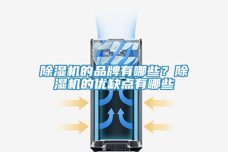 除濕機的品牌有哪些？除濕機的優(yōu)缺點有哪些