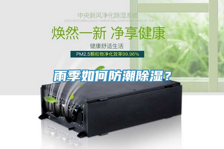 雨季如何防潮除濕？