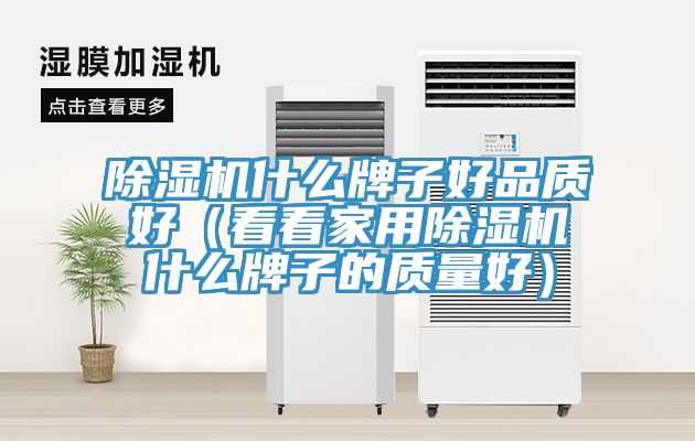 除濕機(jī)什么牌子好品質(zhì)好（看看家用除濕機(jī)什么牌子的質(zhì)量好）